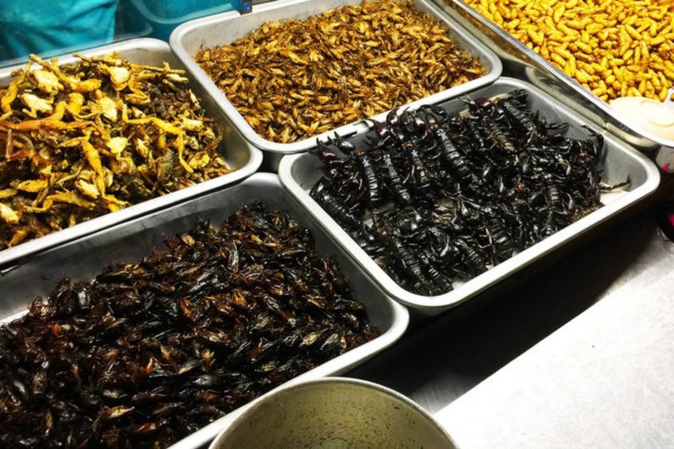 4 điểm du lịch ở Việt Nam khiến khách vừa đi vừa rùng mình sợ hãi - 6 Thậm chí côn trùng còn được chế biến sẵn thành món ăn. Ảnh: Gody.