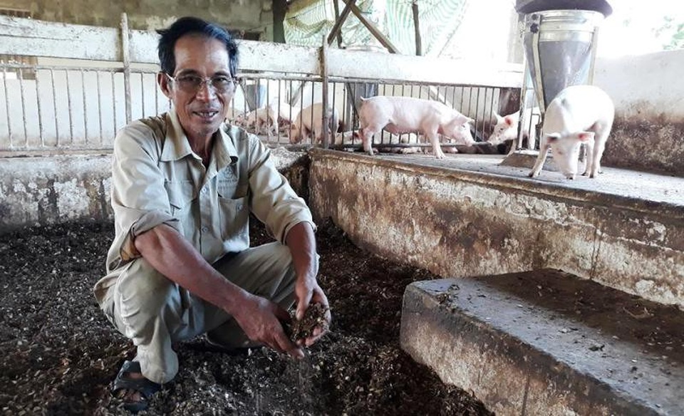 Lão nông "biến" đồi trọc cằn cỗi thành "kho báu" - 2
Mô hình trang trại lợn thoáng đãng không gây ô nhiễm môi trường.