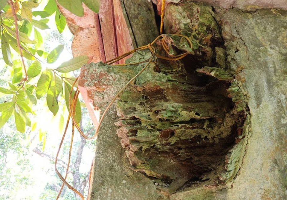 Thành nhà Hồ "đệ nhị" bị lãng quên, 52 tỉ đồng trùng tu vẫn nằm "trên giấy" - 16 Thành nhà Hồ "đệ nhị" bị lãng quên, 52 tỉ đồng trùng tu vẫn nằm "trên giấy" - 16