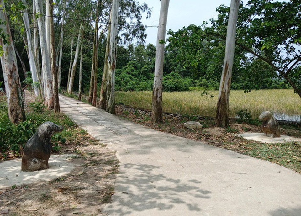 Thành nhà Hồ "đệ nhị" bị lãng quên, 52 tỉ đồng trùng tu vẫn nằm "trên giấy" - 3 Thành nhà Hồ "đệ nhị" bị lãng quên, 52 tỉ đồng trùng tu vẫn nằm "trên giấy" - 3