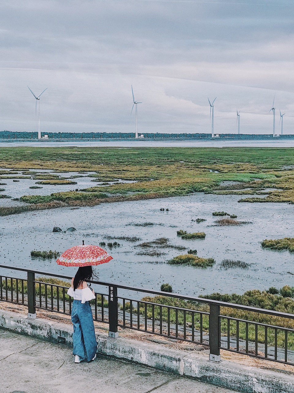Cánh đồng cối xay gió Đài Trung…