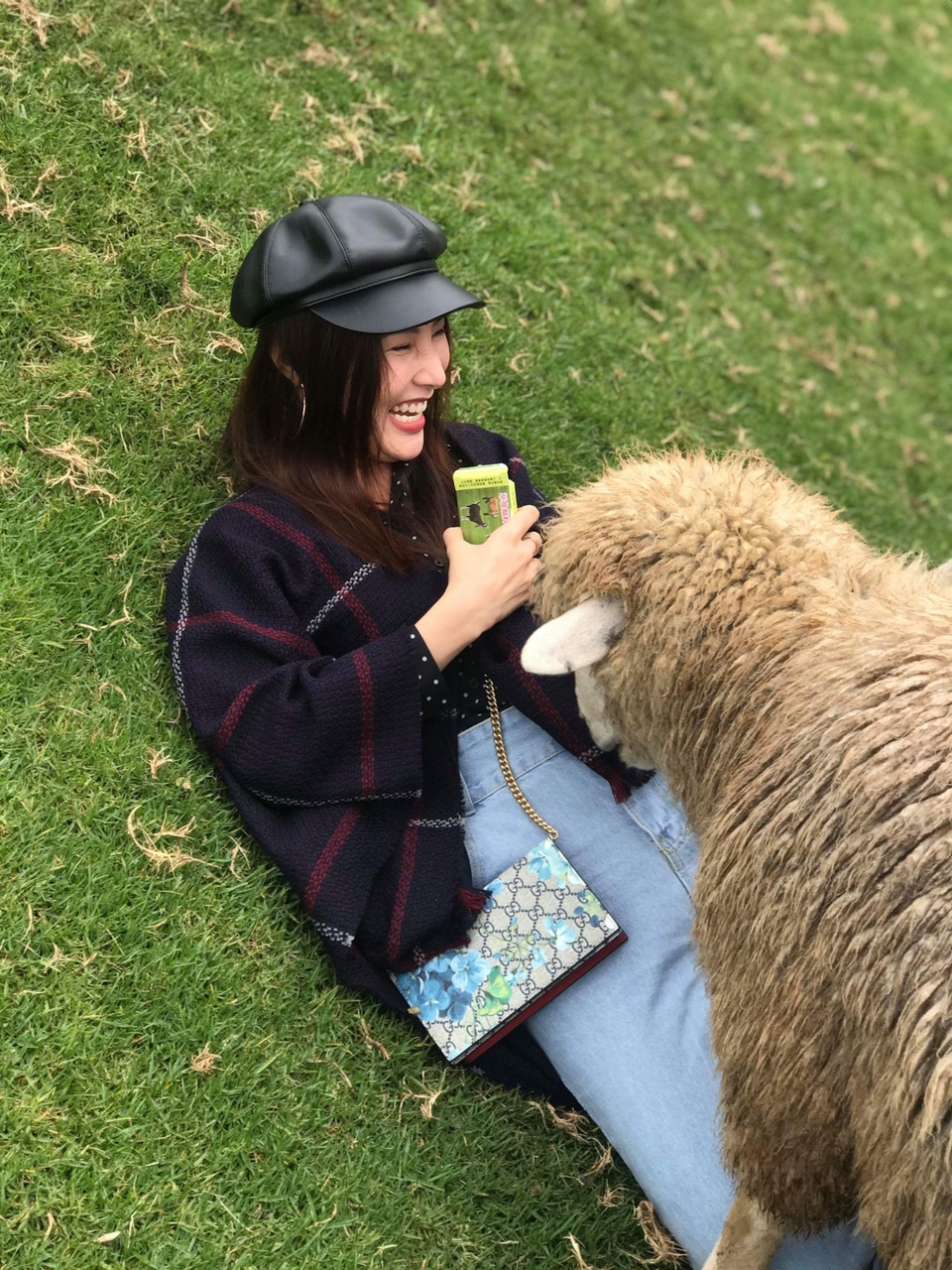 Người đẹp thích thú cho cừu ăn tại nông trường chăn nuôi cừu .