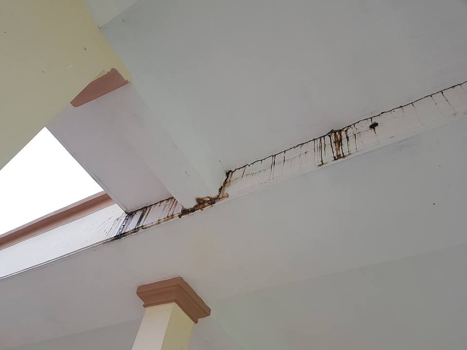 Trường mầm non hơn 30 tỷ đồng vừa sử dụng đã hư hỏng - 3 Trần nhà trường mới sơn đã bị ngấm nước, phủ một lớp rêu ẩm mốc.