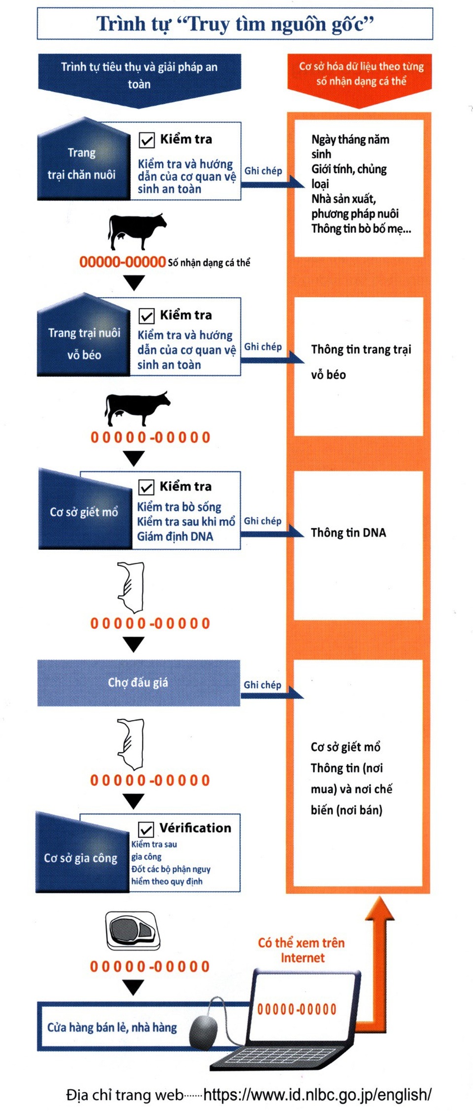 “Itowagyu” - Tinh hoa ẩm thực thịt bò Nhật đã có mặt tại Việt Nam - 3 Trình tự truy tìm nguồn gốc mỗi chú bò Wagyu