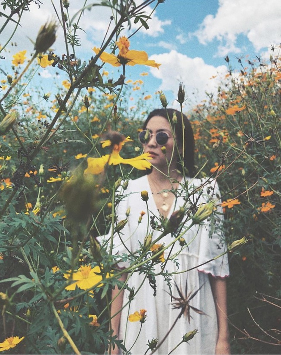 Đà Lạt đẹp cả 4 mùa Xuân, Hạ, Thu, Đông nhưng thơ mộng nhất bao giờ cũng là khoảng thời gian tháng 10, khi những thảm hoa dã quỳ vàng rực. Tháng 10, những cung đường, đồi hoa vàng trải rộng khắp các con đường tạo vẻ đẹp lôi cuốn cho thành phố.