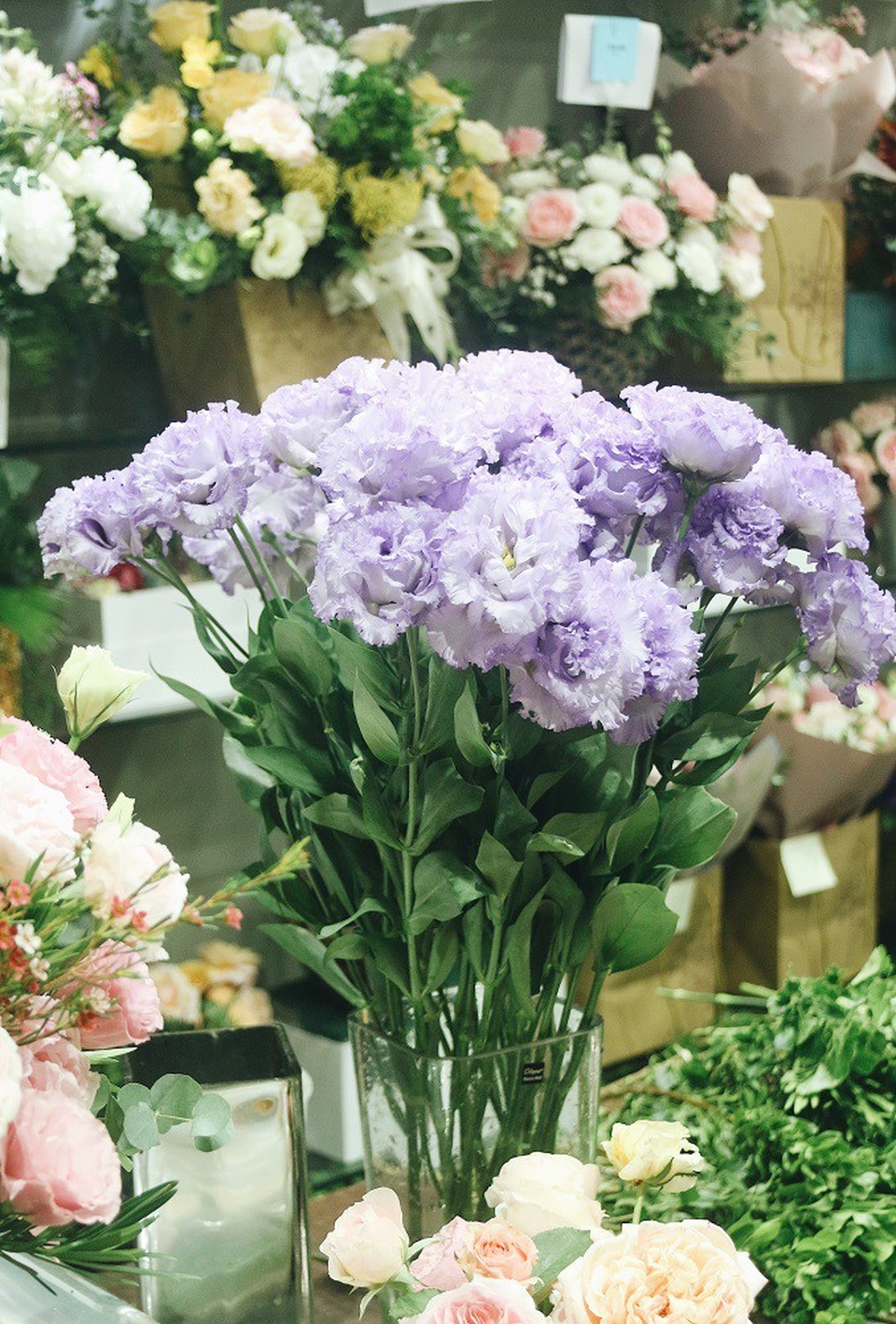 Hoa nhập ngoại đắt gấp 10 hoa thường, “cháy hàng” dịp 20/10 - 3 Lan tường nhập khẩu từ Nhật bản có giá 400.000đ/bông.