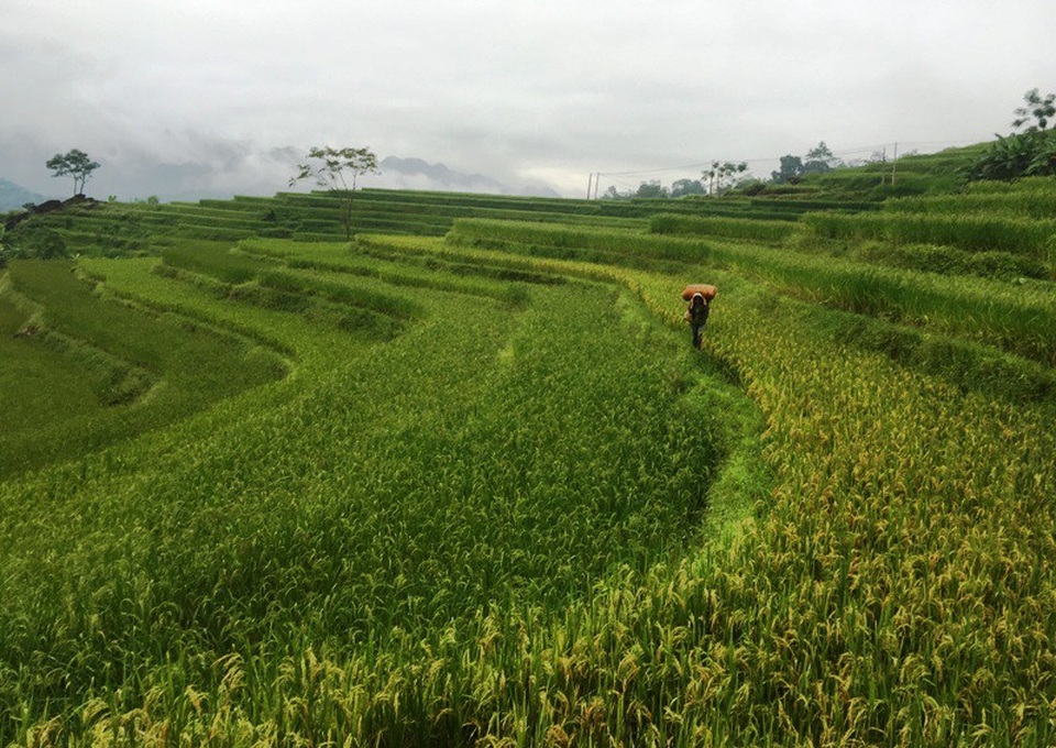 Khám phá tour du lịch cộng đồng nơi “thiên đường giữa đại ngàn” - 8 Mơi đây được mệnh danh là “thiên đường giữa đại ngàn” của Thanh Hóa.