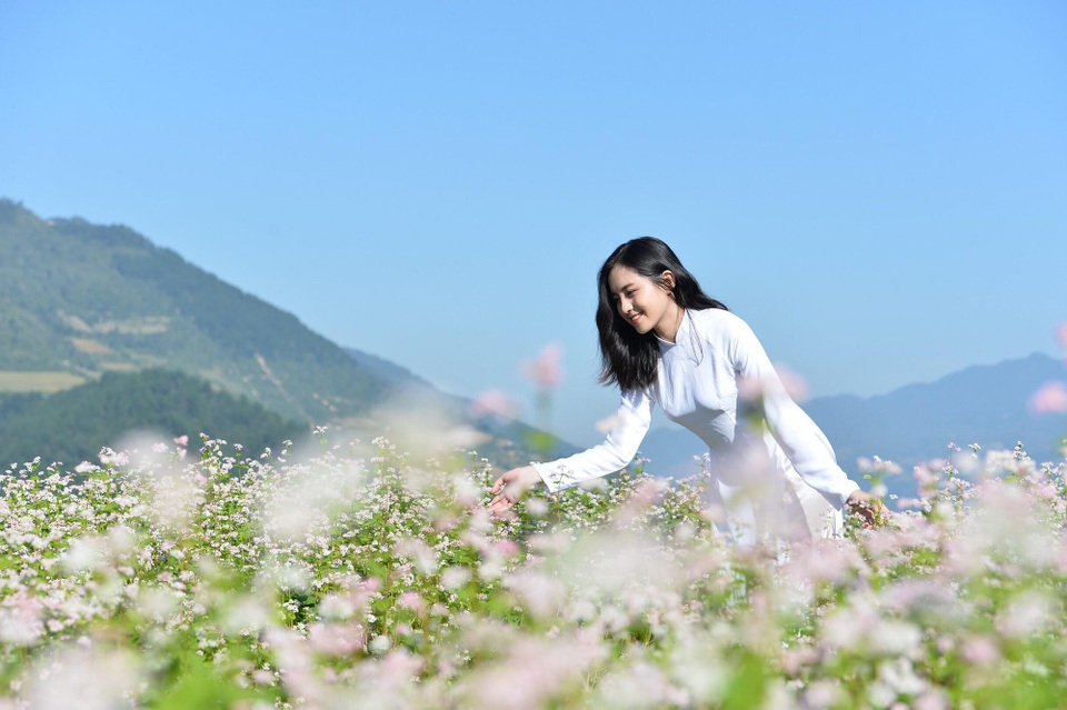 Thiếu nữ xinh đẹp mặc đồ dân tộc Thái ở Mù Cang Chải được tìm kiếm rần rần - 3
Sau khi những hình ảnh trên được lan toả trên một số diễn đàn, lượng người theo dõi và kết bạn với Trang đã tăng lên nhiều.