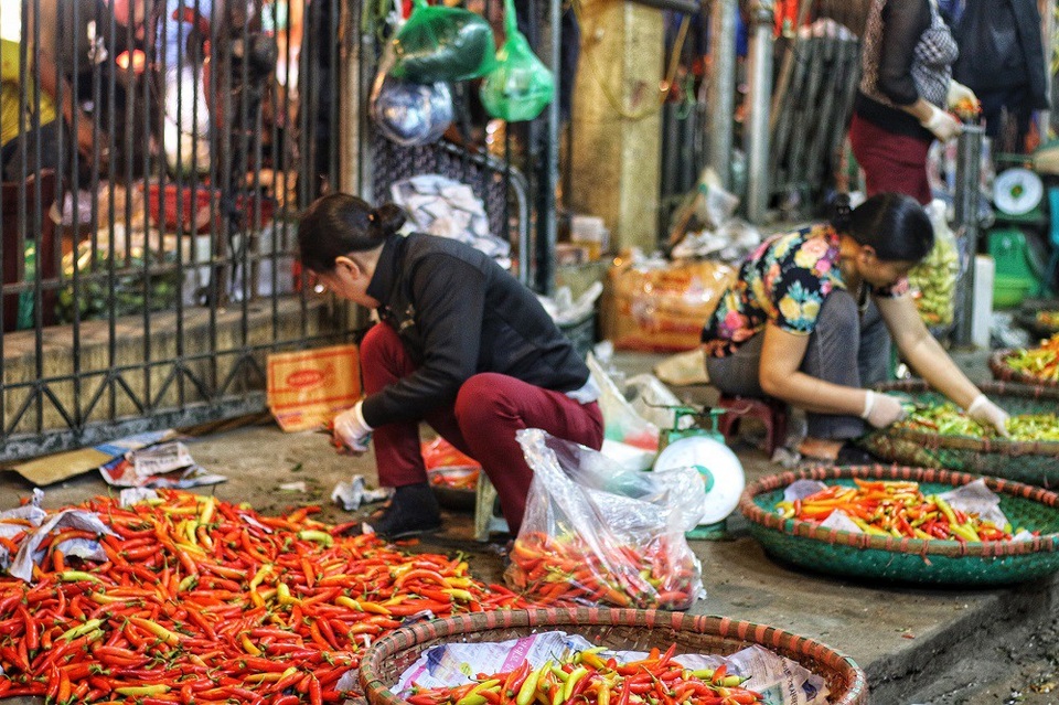 Chợ đầu mối Long Biên là nơi tập chung rất nhiều lao động nữ, Trong đó đa số đều là dân tỉnh lẻ, vì nghèo đói mà tìm về đây để kiếm sống. Những người phụ nữ ở đây đều có những điểm chung như: Phải xa quê tha hương cầu thực; gia cảnh khó khăn và lao động chủ yếu về đêm.