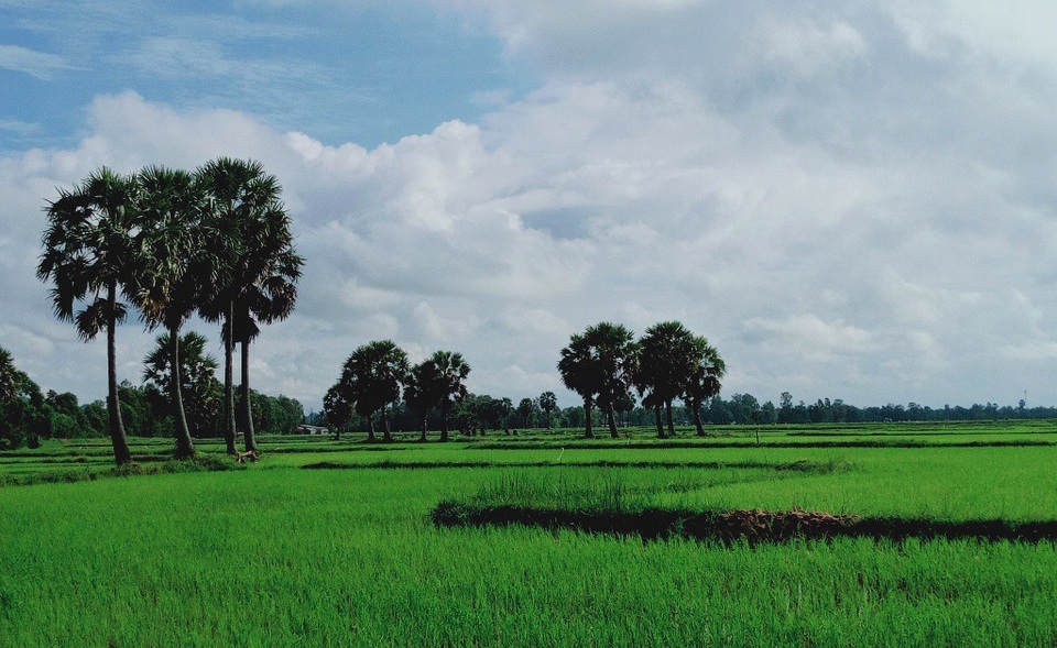 Mê mẩn với những cảnh đẹp An Giang khi mùa lũ về - 3