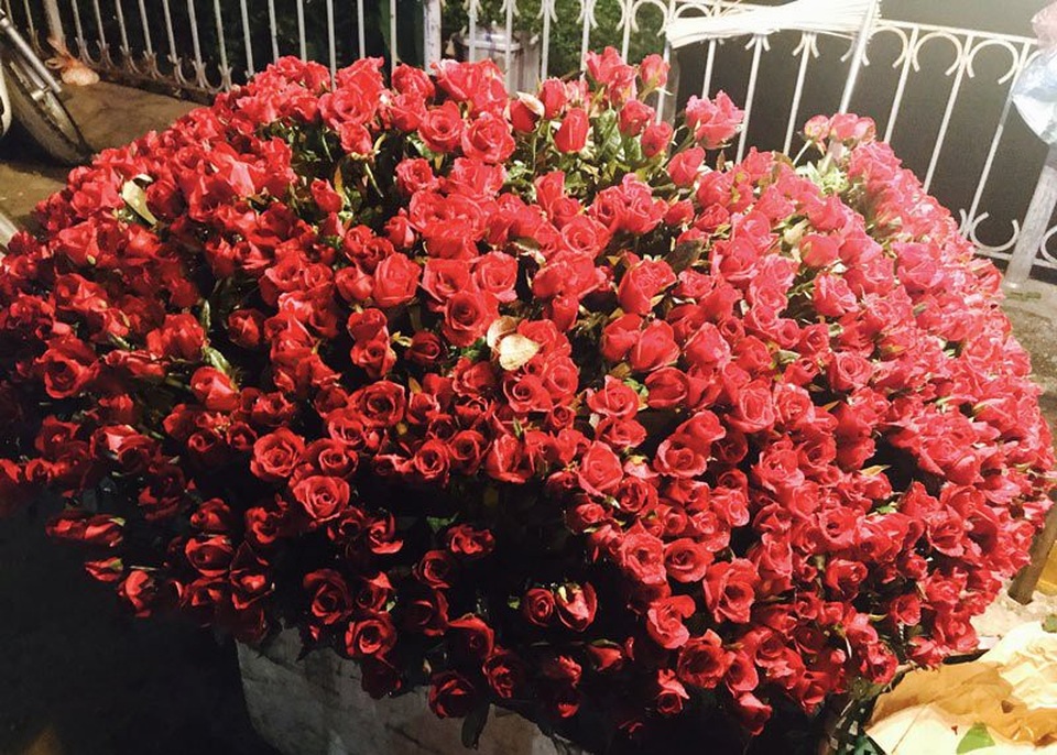 
Hoa hồng tăng giá gấp 2-3 lần giá ngày thường
