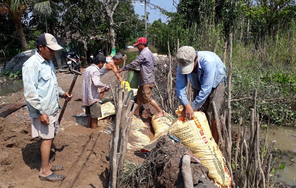 
Những ngày qua, người dân Cồn Khương căng mình gia cố đê bao để bảo vệ vườn cây ăn trái thoát qua hai đợt triều cường sắp tới là vào 15/9 và 30/9 âm lịch
