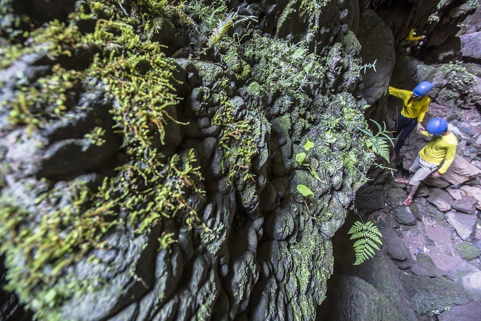 Quảng Bình: Chiêm ngưỡng vẻ đẹp của hang Vòm - giếng Voọc - 5