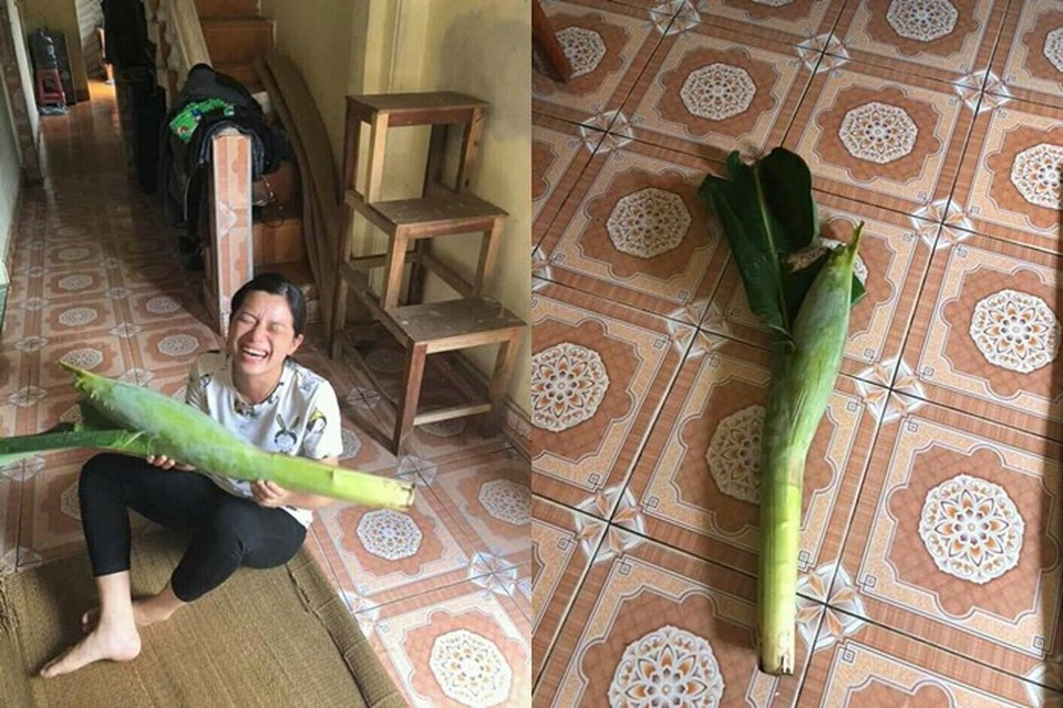 Hậu 20/10, chị em đồng loạt khoe quà tặng “độc nhất vô nhị" - 10 Người phụ nữ này cười ngất khi nhận được món quà độc, lạ cả cây hoa chuối nhân ngày 20/10