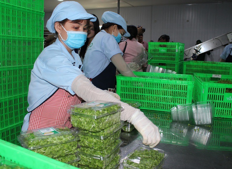 Chuỗi thực phẩm sạch đang từng bước được xây dựng để chống lại thực phẩm bẩn