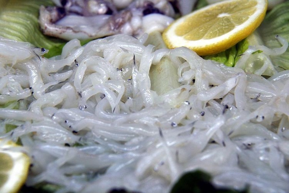 Món đặc sản bị nhiều người cho là “nhạt nhẽo” nhưng có giá hàng chục triệu một kg - 1 Đặc sản cá chình con của Tây Ban Nha có giá hàng chục triệu đồng/kg