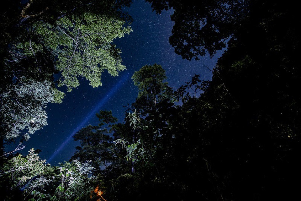 Quảng Bình: Chính thức khai trương tuyến du lịch khám phá hang Vòm – Giếng Voọc - 3