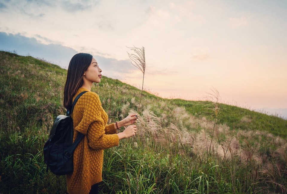 Đến Bình Liêu mùa này, góc ảnh nào cũng đẹp và nên thơ. Ảnh: dunggcam