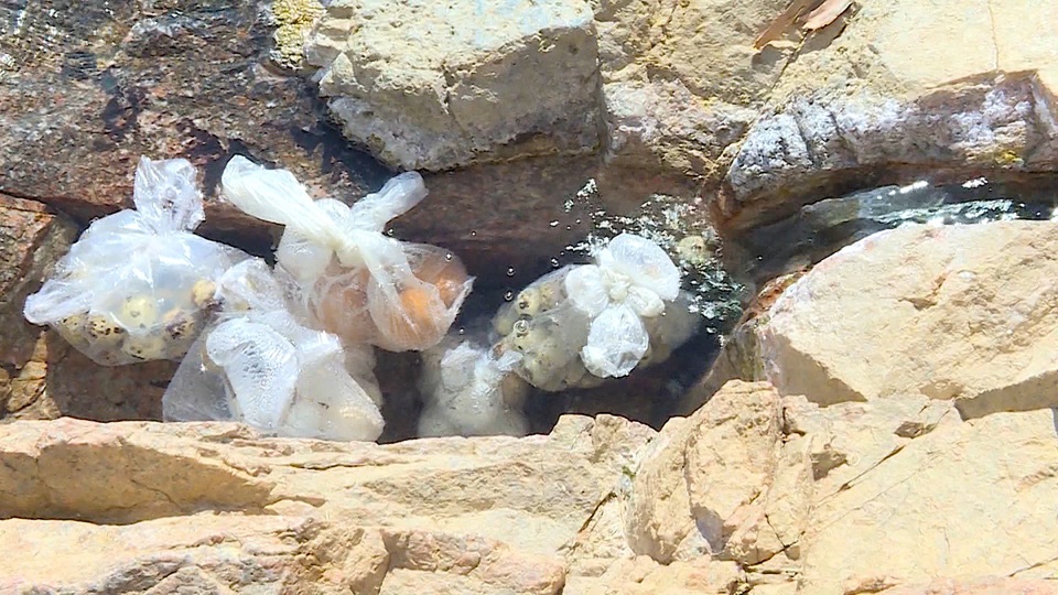 Các mỏ khoáng nóng ở Phú Yên đều có nhiệt độ trên 60%