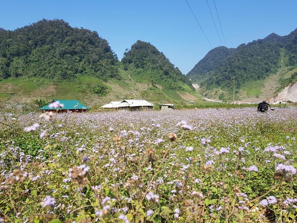 Lạc vào thung lũng Hang Kia, đẹp yên bình như cổ tích - 2 Lạc vào thung lũng Hang Kia, đẹp yên bình như cổ tích - 2