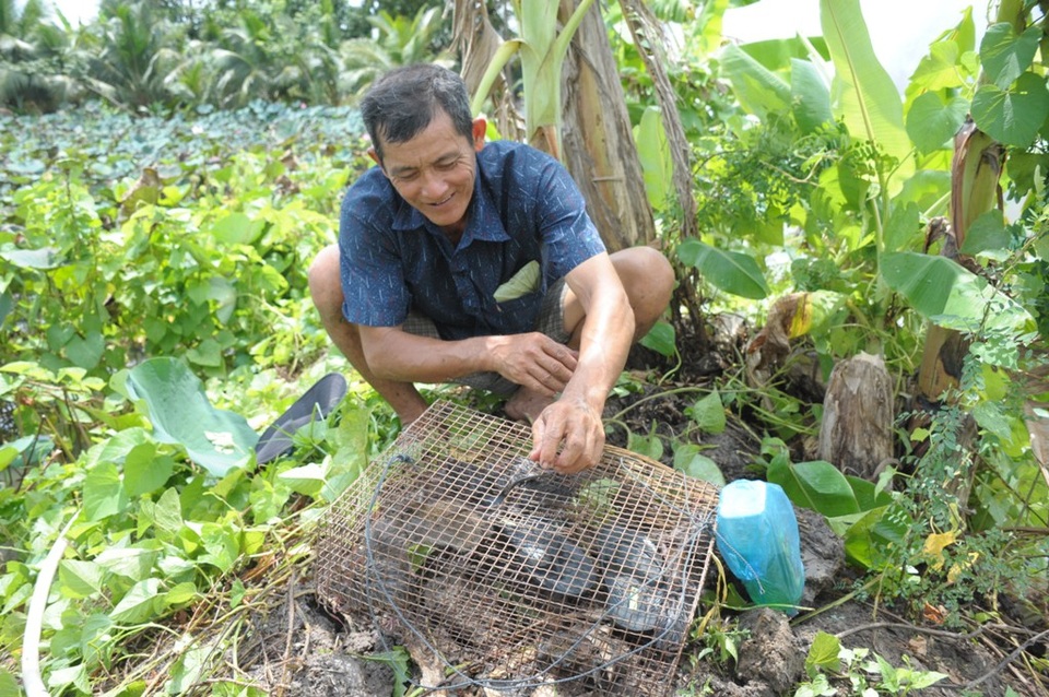 Đi bắt chuột đồng mùa nước nổi - 13 Đi bắt chuột đồng mùa nước nổi - 13