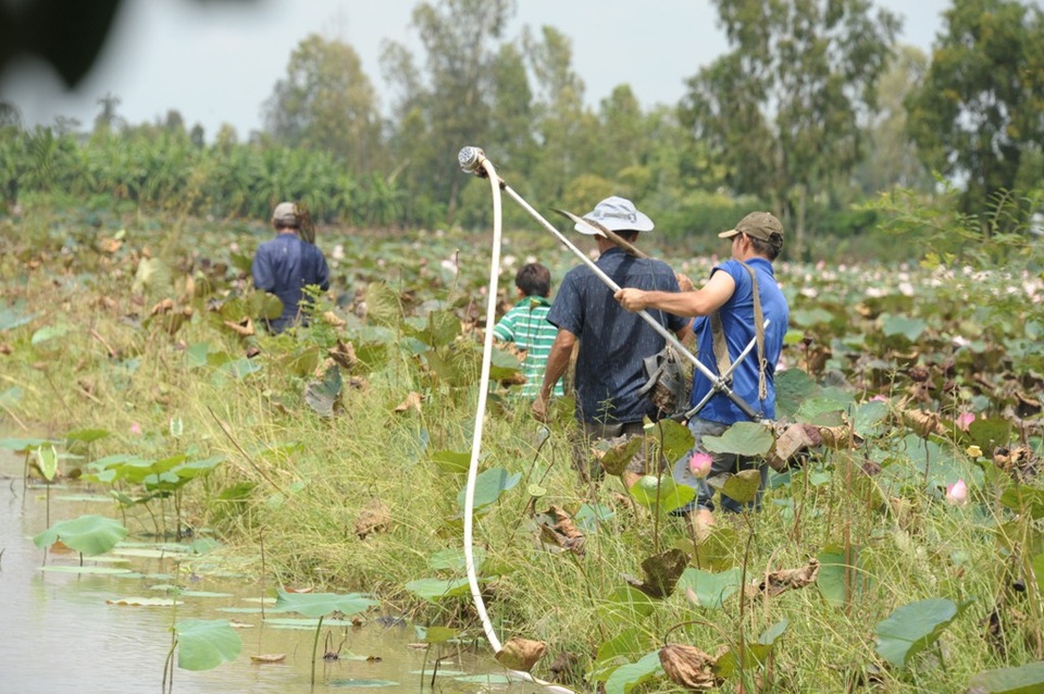 Đi bắt chuột đồng mùa nước nổi - 4
Phần cánh quạt cắt cỏ được chế thành máy bơm nước