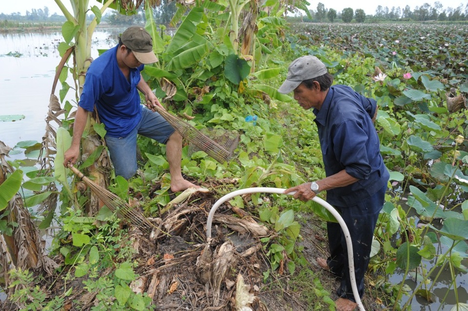 Đi bắt chuột đồng mùa nước nổi - 6 Khi bơm nước vào hàng những người còn lại đặt xà di vào hàng chính...
