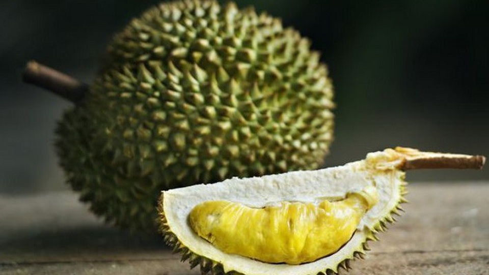 Hổ quý Malaysia gặp nguy vì Trung Quốc “mê” sầu riêng - 1
(Ảnh minh họa: Cleo)