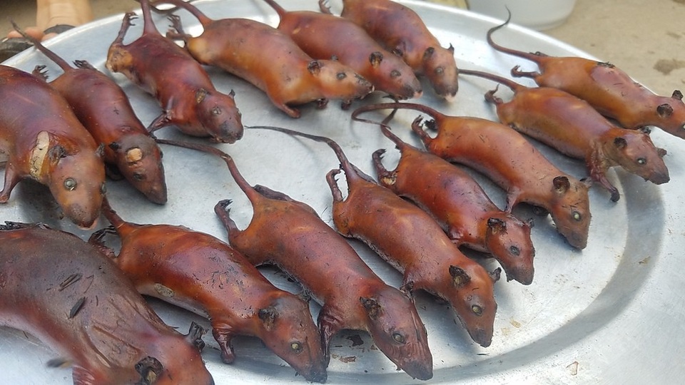 Người dân ở Canh Nậu xem thịt chuột là món ăn khoái khẩu