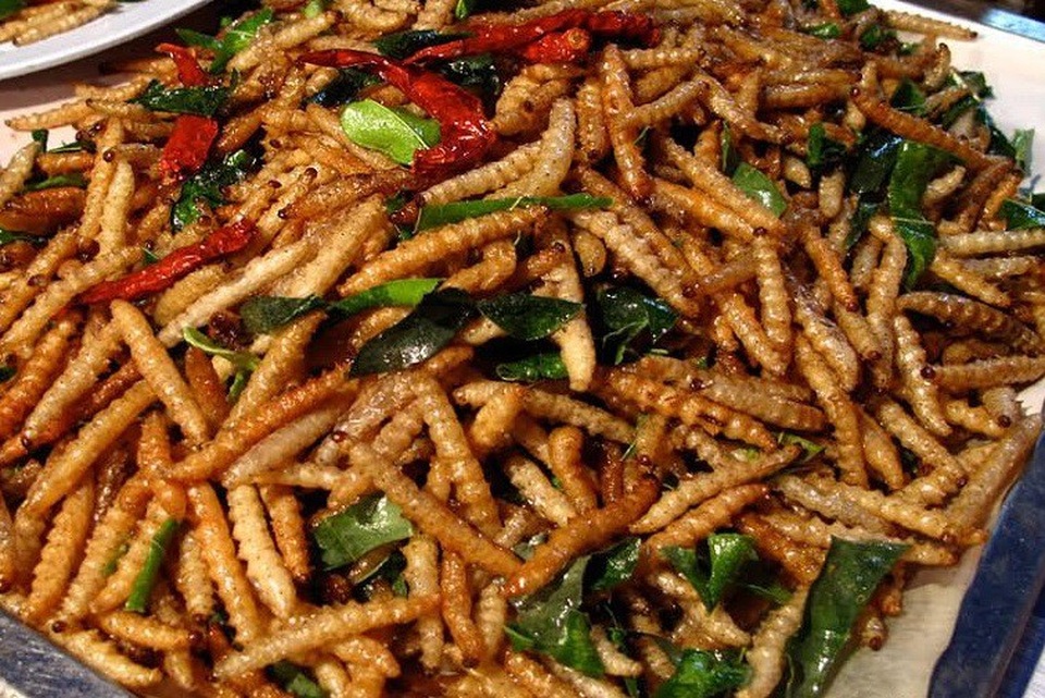 Rợn người 5 món ăn nhung nhúc, béo núc được xem là đặc sản ở Việt Nam - 4 Loài sâu này sống trong thân cây chít phổ biến ở các tỉnh phía Bắc. Ảnh minh họa