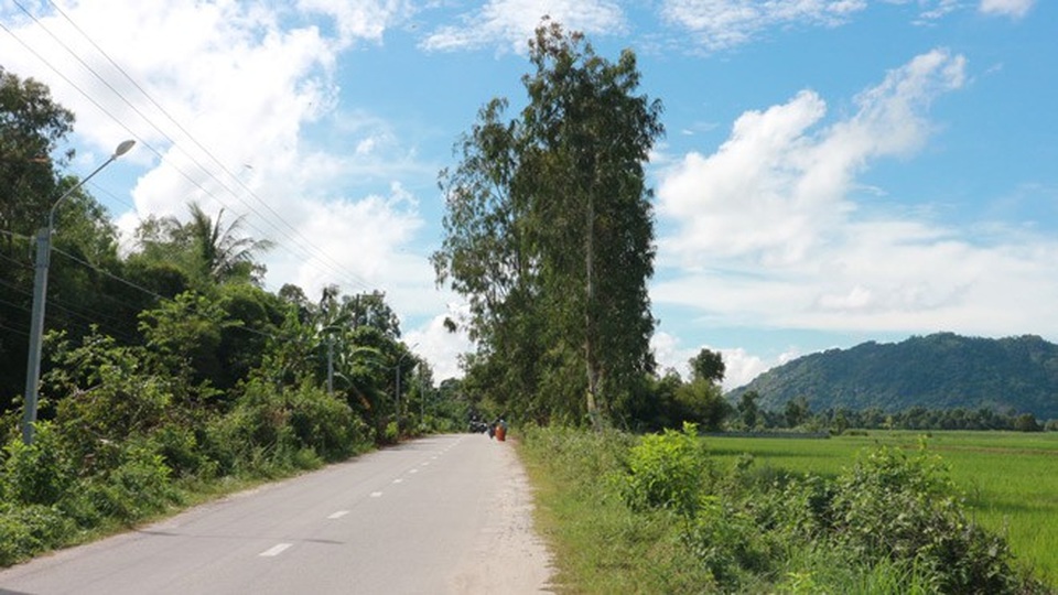 Ghé An Giang mùa nước nổi đẹp mê hồn, thưởng thức món gà đốt trứ danh - 4 Đường xá nơi đây rất dễ đi