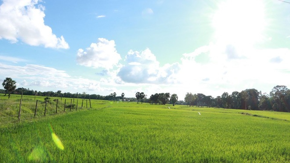 Ghé An Giang mùa nước nổi đẹp mê hồn, thưởng thức món gà đốt trứ danh - 17 Trên đường đi bạn có thể bắt gặp hình ảnh đẹp này ở bất kì đâu