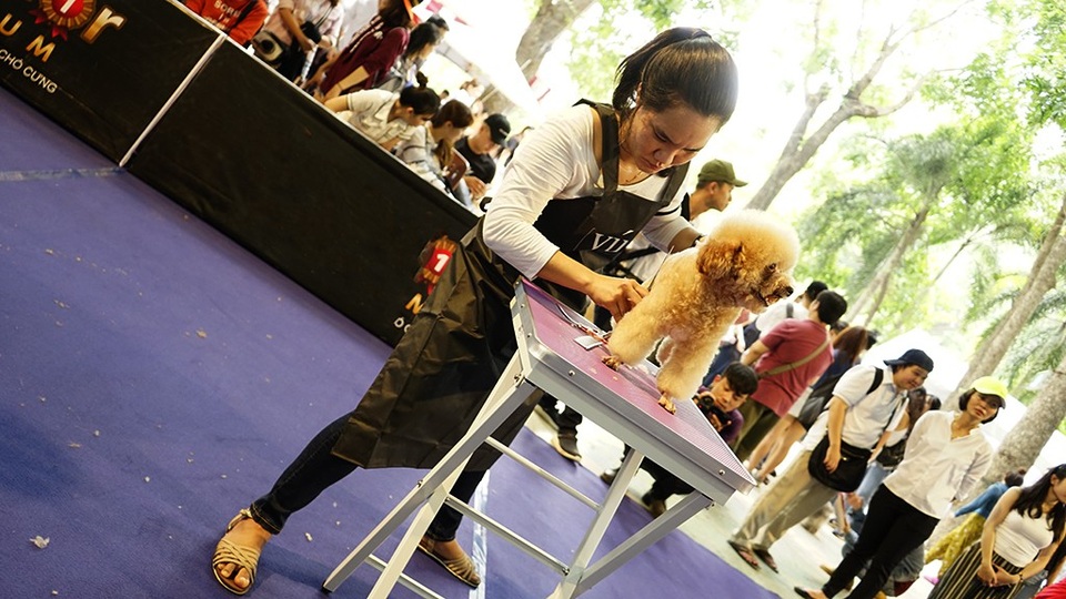 Những chuyên gia về chăm sóc và làm đẹp cho thú cưng chăm chút từng thao tác