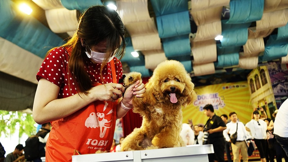 Một trong những bộ phận khó chăm sóc nhất chính là chân