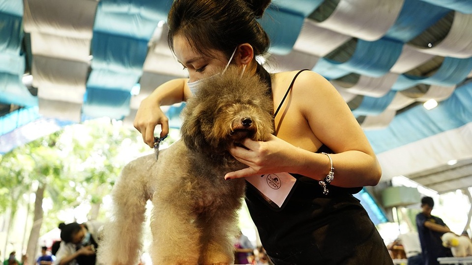 Các thao tác đều hết sức nhanh gọn, nhẹ nhàng và chuẩn xác