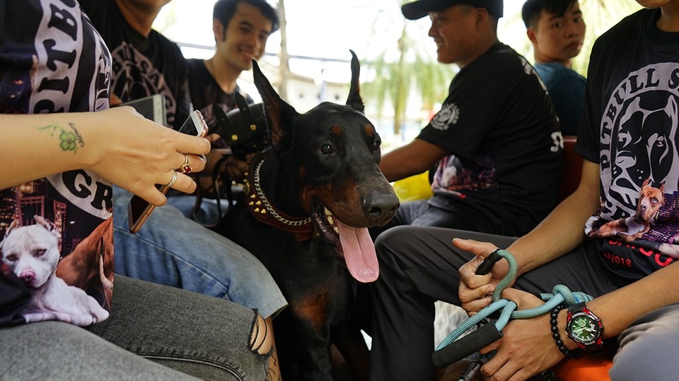 Hoạt động này nhằm tạo nên một sân chơi tập trung, chuyên nghiệp và quy mô lớn cho cộng đồng yêu thích cún cưng không chỉ ở TP HCM mà còn cho các tỉnh lân cận.