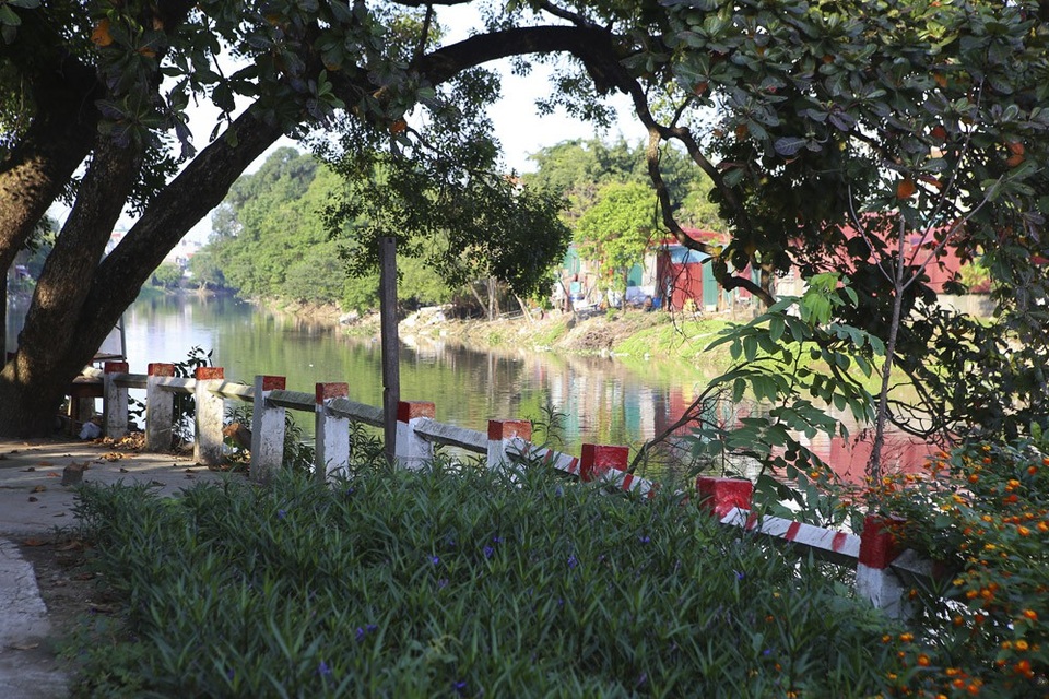 Con đường hoa kéo dài khoảng 1km nhưng tạo cảnh quan rất đẹo cho dòng sông, song hiện tại nó chỉ được trồng bên bờ hữu ngạn.