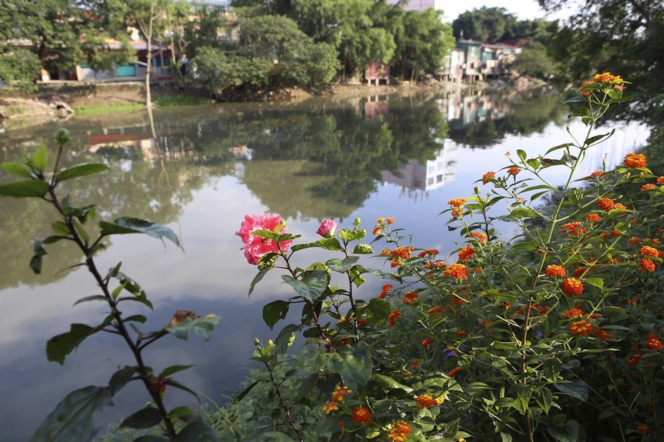 
Chỉ có một bên hữu ngạn được trồng hoa, phía tả ngạn còn lại vẫn rất nhiều rác thải và phế liệu xây dựng bị đổ ra ven sông.
