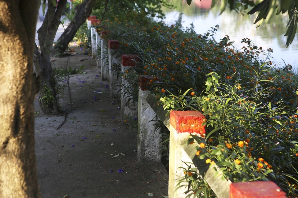 Con đường hoa này được trồng bởi nhiều tổ chức của xã và vẫn tiếp tục được trồng thêm vào cuối tuần.