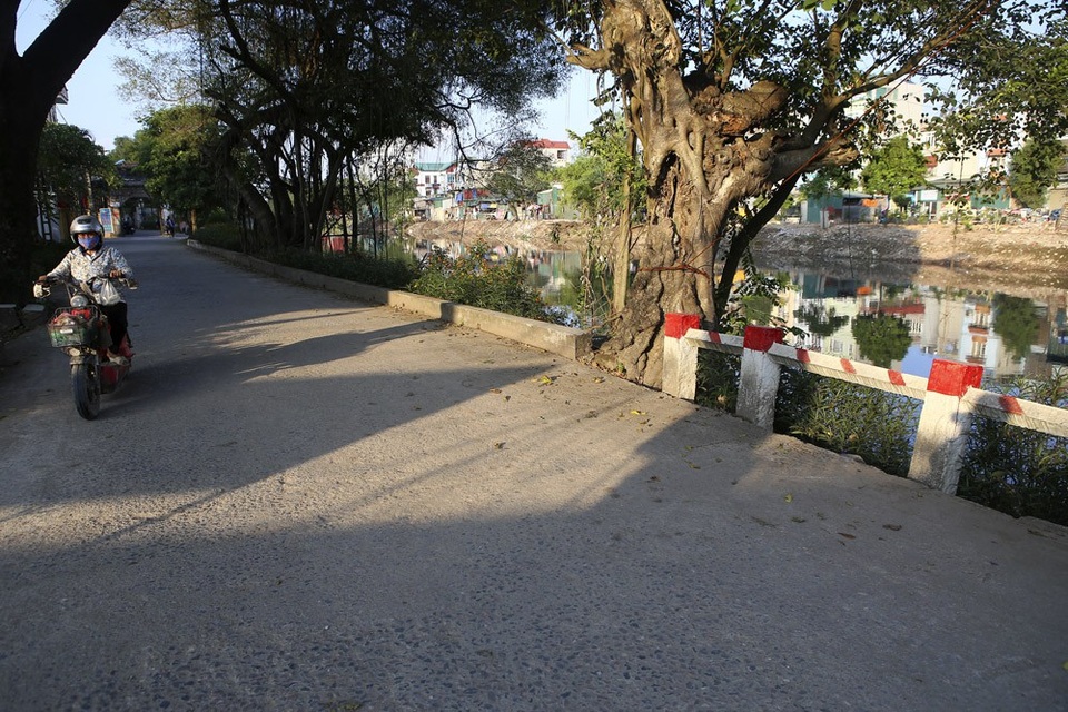 
Con đường liên xã cũng trở nên thơ mộng hơn với cây đa, hoa cỏ, đình đền cổ kính.
