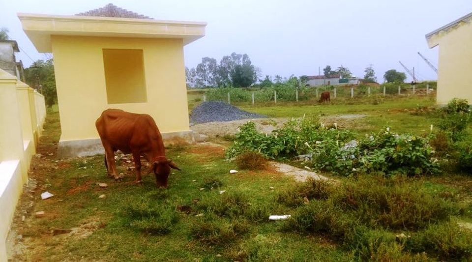 Nghệ An: Chợ mới xây dở dang, người dân “liều mình” tràn ra quốc lộ để buôn bán! - Ảnh 5. Nghệ An: Chợ mới xây dở dang, người dân “liều mình” tràn ra quốc lộ để buôn bán! - Ảnh 5.