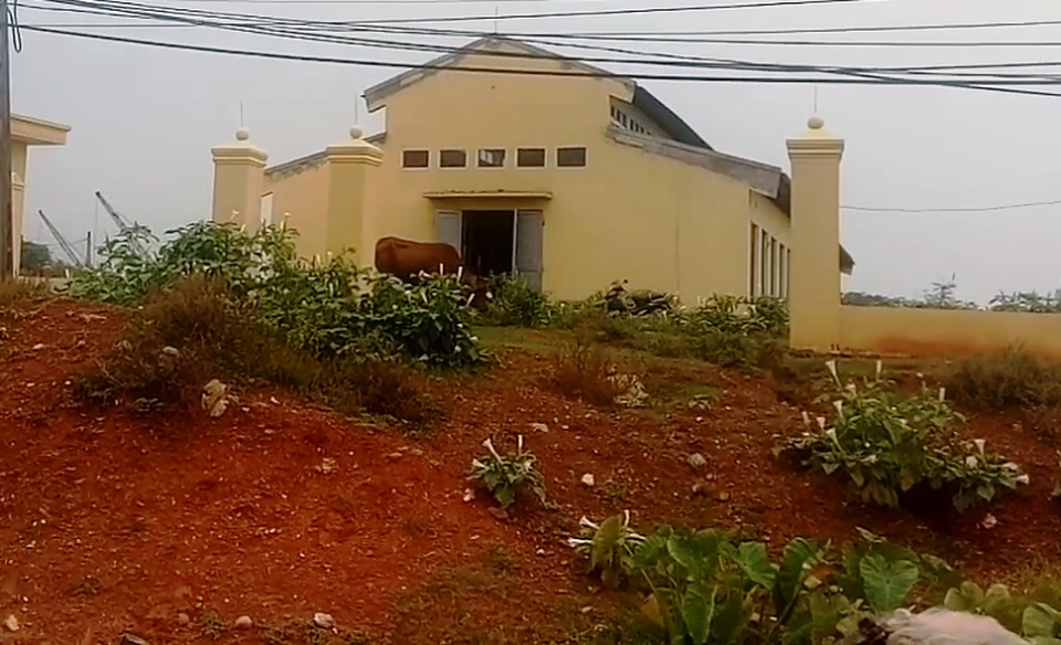 Nghệ An: Chợ mới xây dở dang, người dân “liều mình” tràn ra quốc lộ để buôn bán! - Ảnh 6. Nghệ An: Chợ mới xây dở dang, người dân “liều mình” tràn ra quốc lộ để buôn bán! - Ảnh 6.