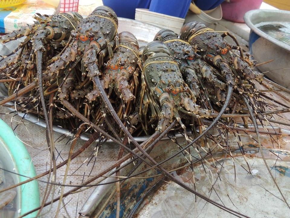 Chợ Nại – chợ quê hút khách ngoại - 5 Chợ Nại – chợ quê hút khách ngoại - 5