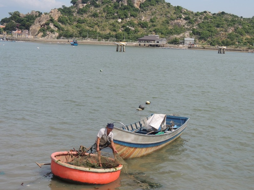 Chợ Nại – chợ quê hút khách ngoại - 4 Tôm cá được ngư dân đánh bắt ngay bên bờ biển hoặc trong Đầm Nại xong đem lên chợ để bán ngay