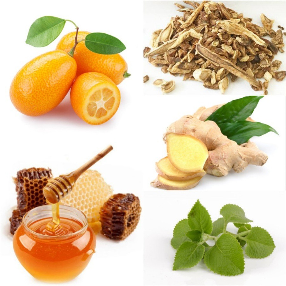 Bệnh hô hấp - Khi nào chưa cần phải dùng kháng sinh - 3 Các sản phẩm thảo dược như siro ho cảm với thành phần: Quất, Mật Ong, Húng Chanh, Gừng, Cát Cánh nên được ưu tiên sử dụng ngay khi trẻ có dấu hiệu nhiễm lạnh, cảm lạnh.
