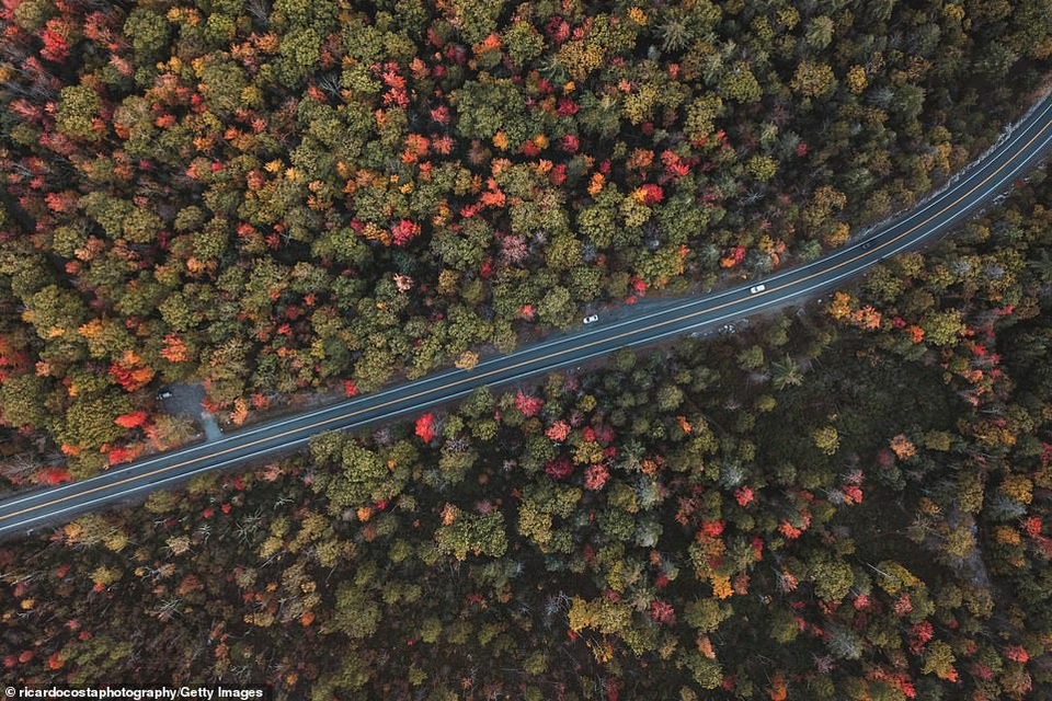 Catskills (ảnh) được các hướng dẫn viên du lịch miêu tả “các nhà hàng hữu cơ sang trọng, nhà máy bia và các trung tâm nghệ thuật cùng khu vực riêng cho âm nhạc”. Catskills đứng thứ hai trong danh sách khu vực đến.