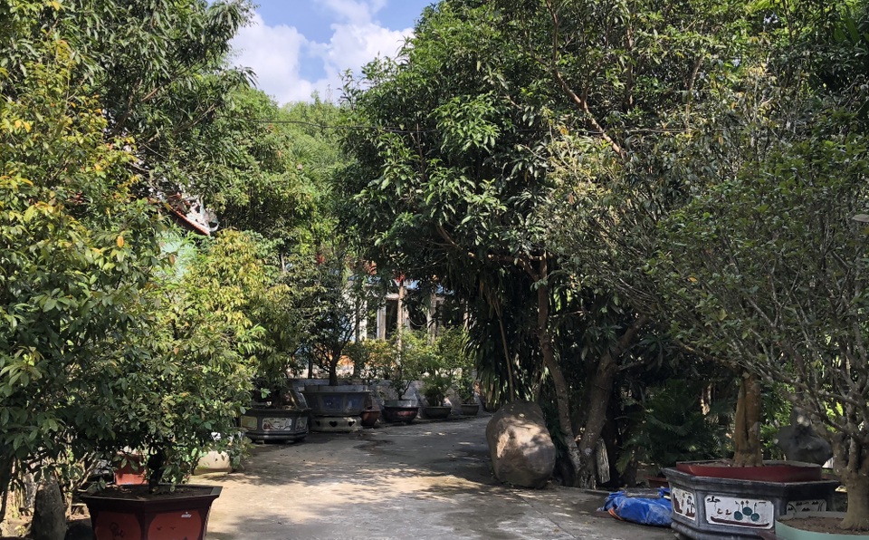 Kiểm tra biệt phủ của đại gia vàng, đội quy tắc bất lực quay về - 4 Kiểm tra biệt phủ của đại gia vàng, đội quy tắc bất lực quay về - 4