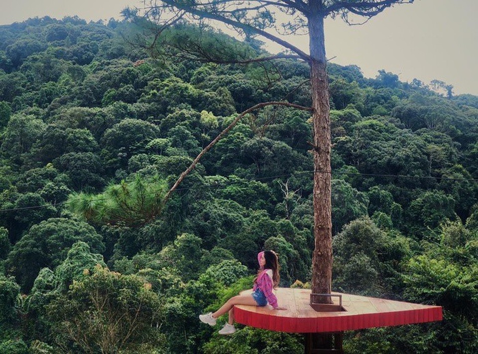 Đến đây bạn sẽ bị choáng ngợp bởi khung cảnh hùng vĩ, thiên nhiên tươi đẹp như ốc đảo xanh, trái ngược hoàn toàn với sự ồn ã, xô bồ của phố thị. Nếu đi du lịch Đà Lạt vào mùa này, bạn còn có cơ hội được ngắm hoa dã quỳ, hoa cải trắng bạt ngàn bên các sườn đồi và tận hưởng cái se lạnh dịu mát đặc trưng của thời tiết nơi đây.