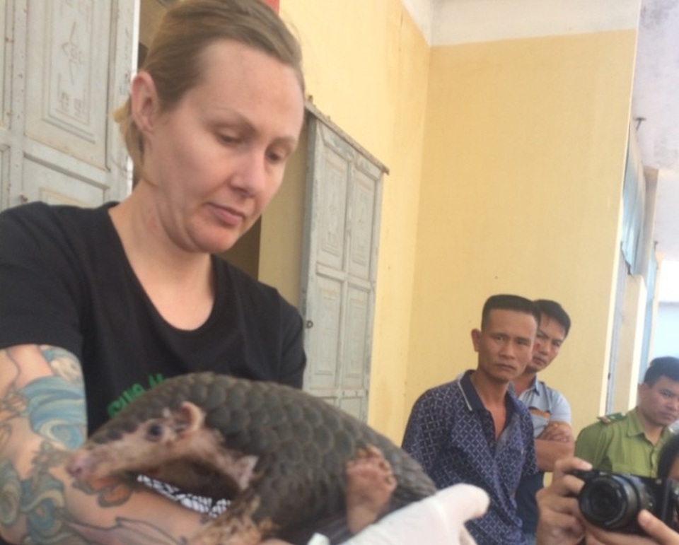 Bắt giữ vụ vận chuyển số lượng lớn động vật hoang dã - 4 Toàn bộ số tang vật trên được bàn giao cho Trung tâm cứu hộ động vật hoang dã Vườn Quốc gia Cúc Phương.