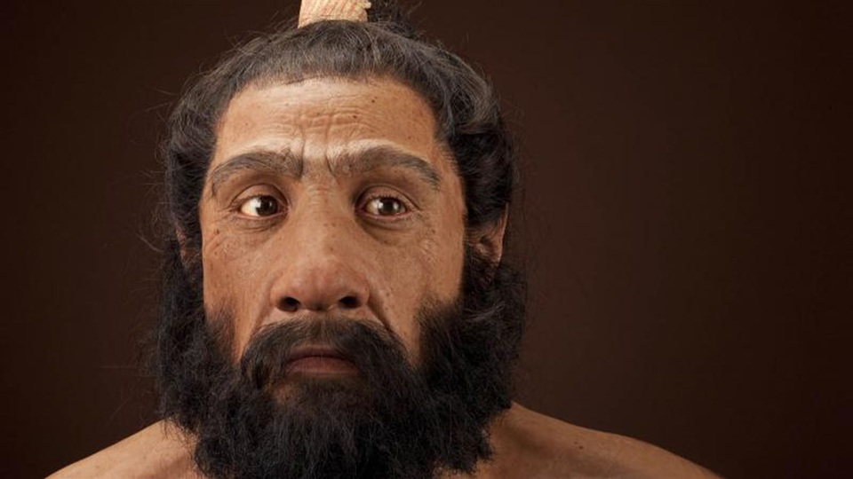 Người Neanderthal ngăn nhân loại khỏi bị bệnh cúm xóa sổ bằng cách nào? - 2
ADN của người Neanderthal chứa các gien giúp loài người sống sót qua bệnh cúm.